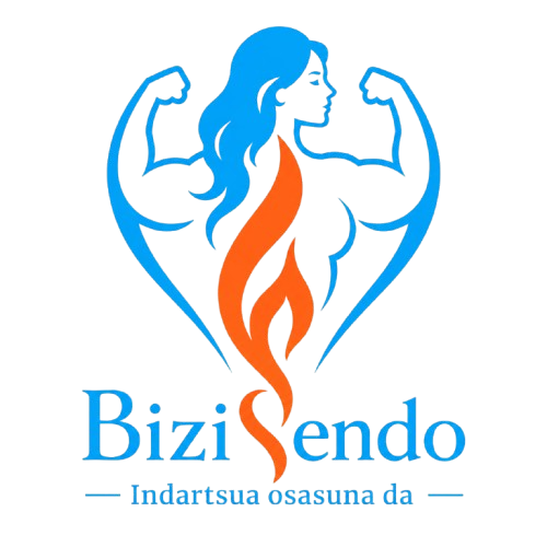 BiziSendo Logo